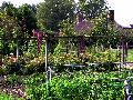 gal/holiday/Yeovil Area 2007 - Tintihull Gardens/_thb_Tintinhull_Gardens_P1010012.jpg